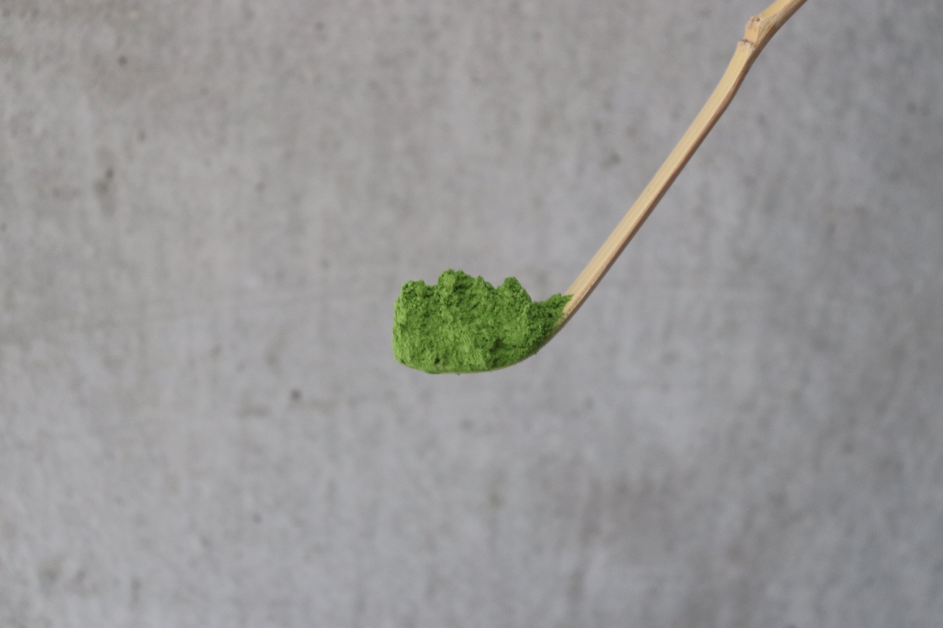 White bamboo tea scoop | TAKAYAMA NARA