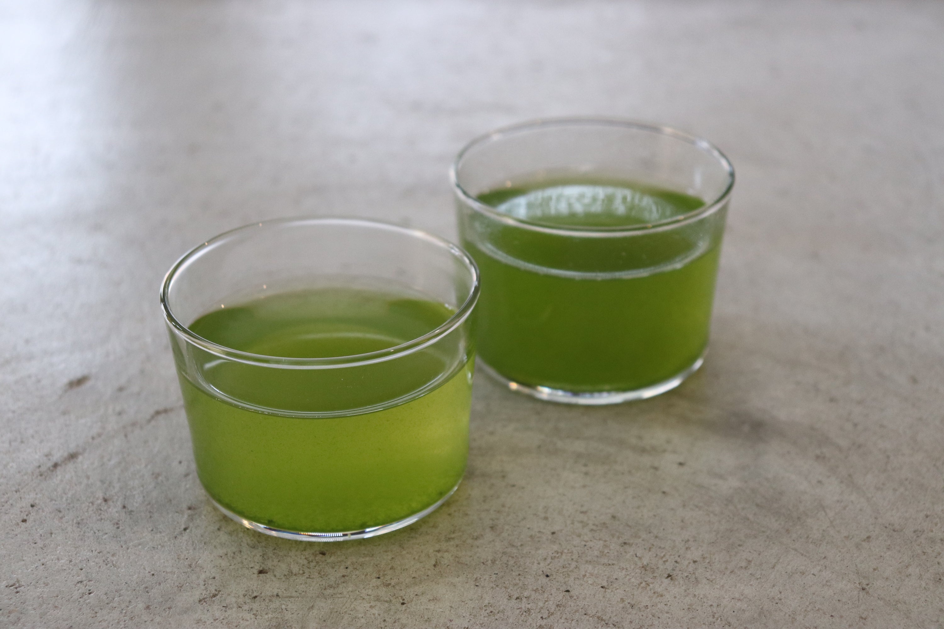 Kabuse Sencha SAEMIDORI | KYOTO WAZUKA